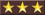 Officer [Gold Rank]